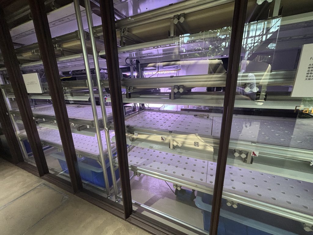 水耕栽培コーナー