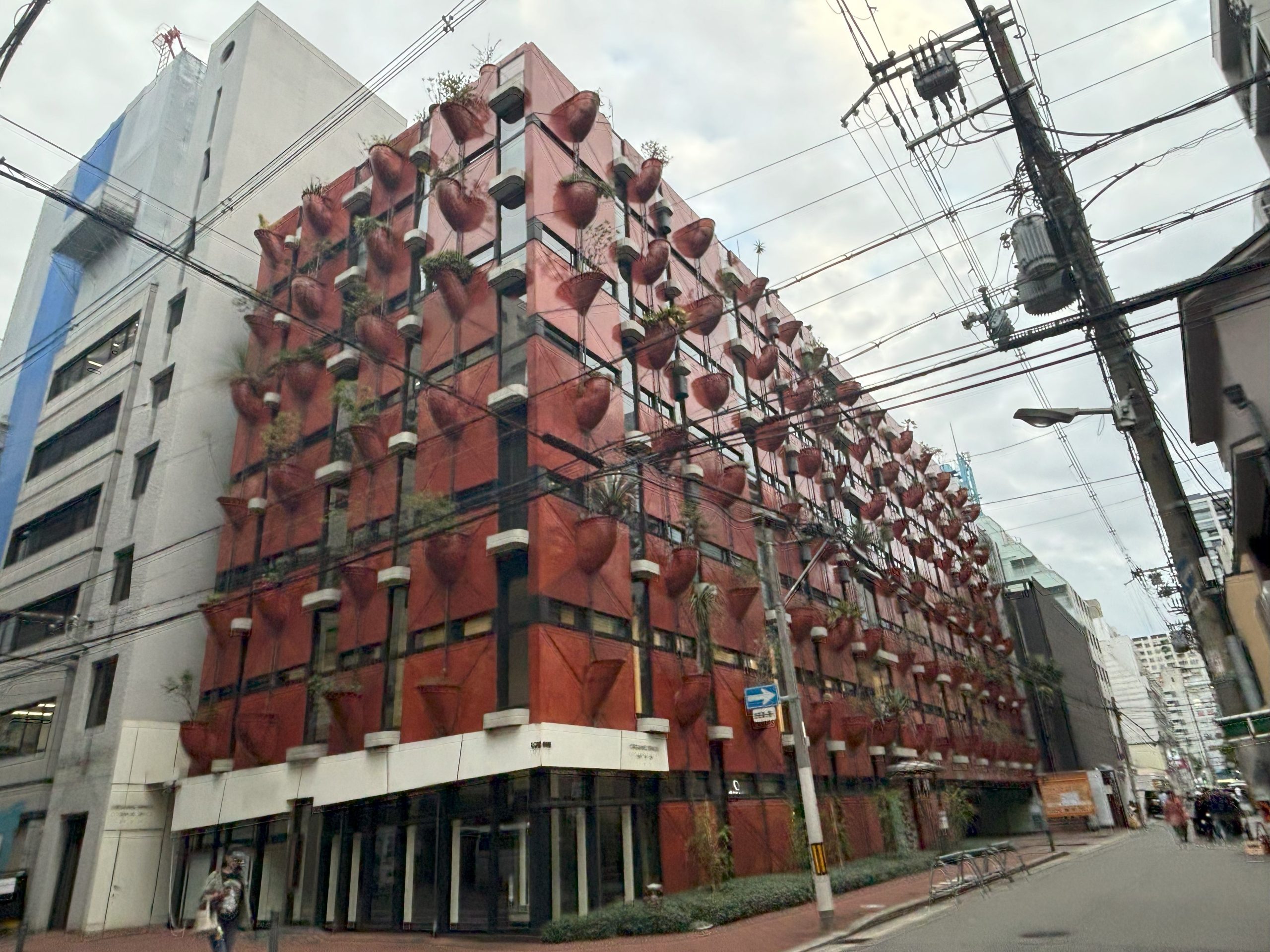 オーガニックビルのファサード